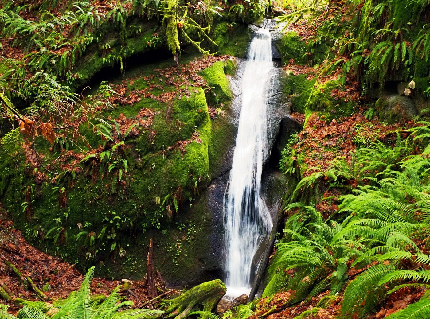 Chuckanut Falls