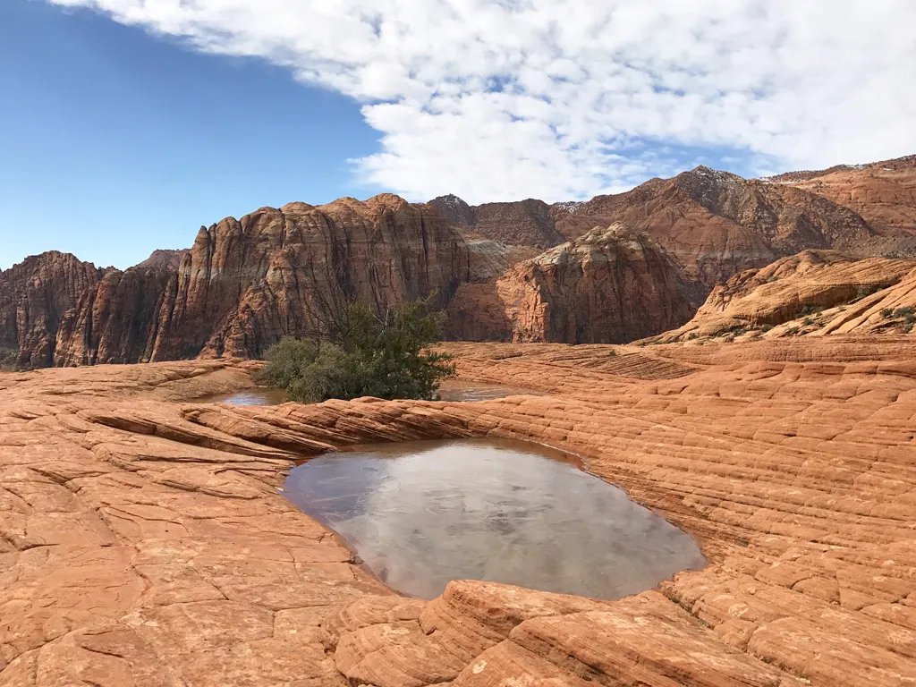 Petrified Dunes Trail