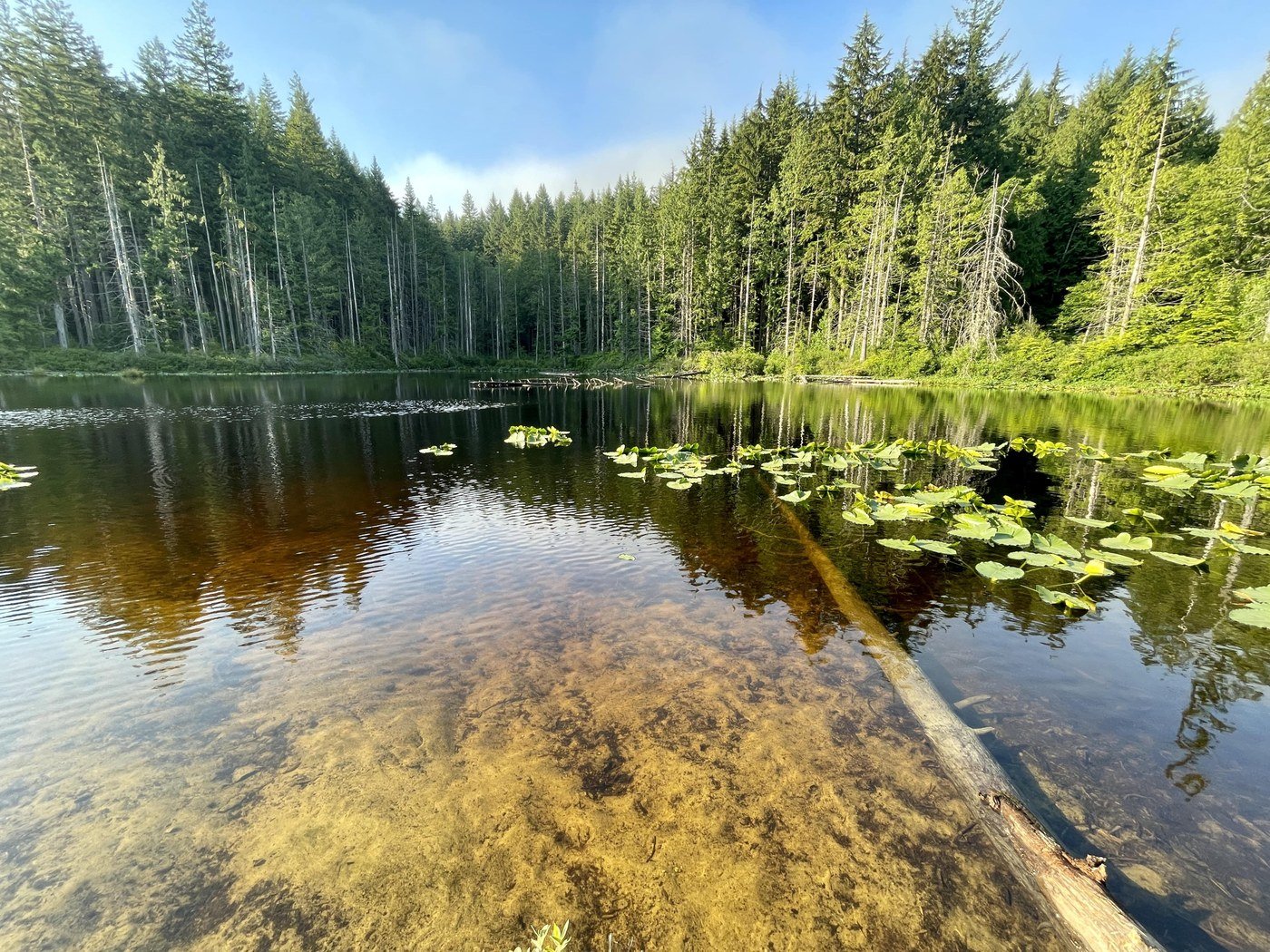 Pine and Cedar Lakes Trail