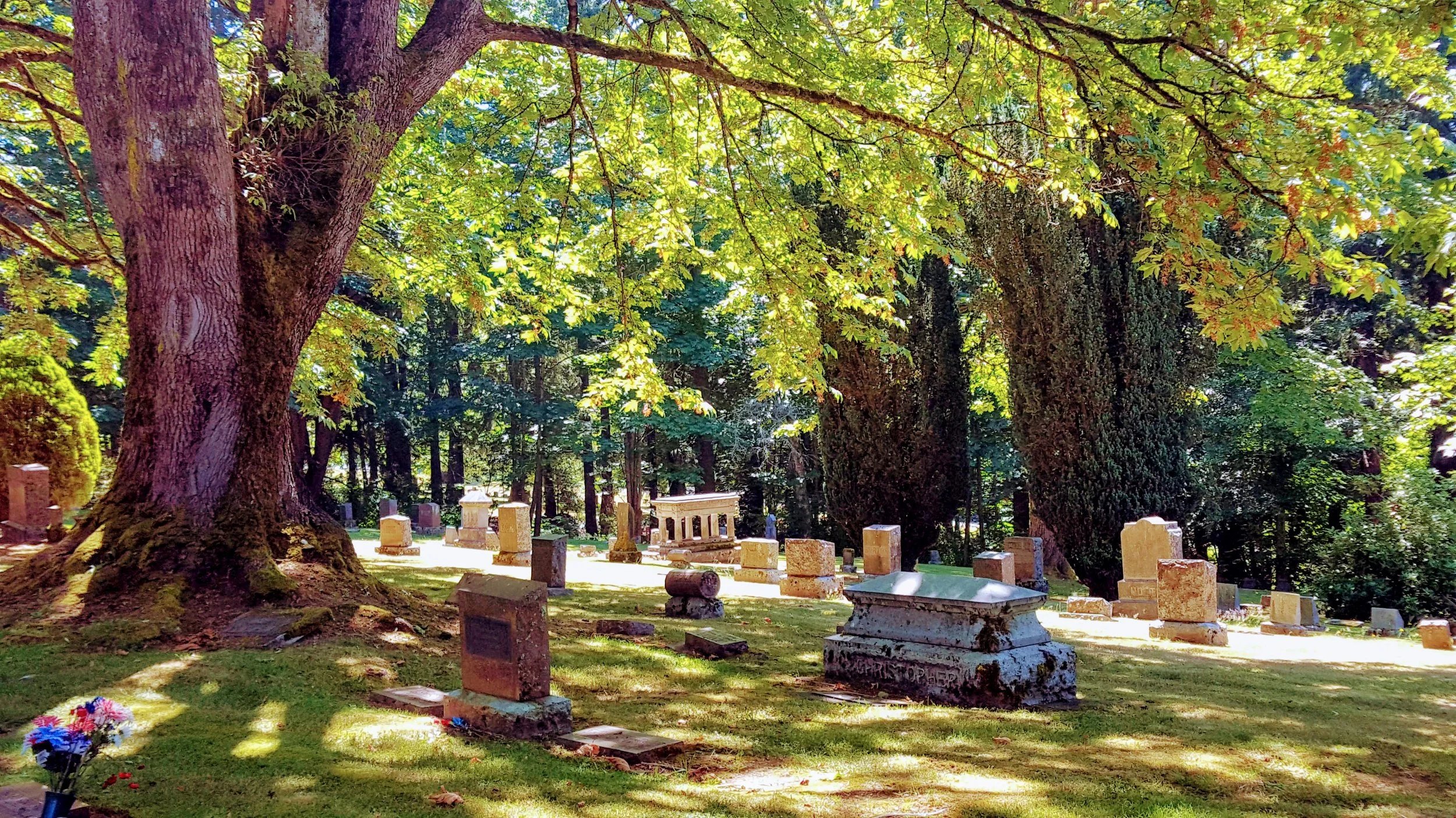  Bayview Cemetery Trail
