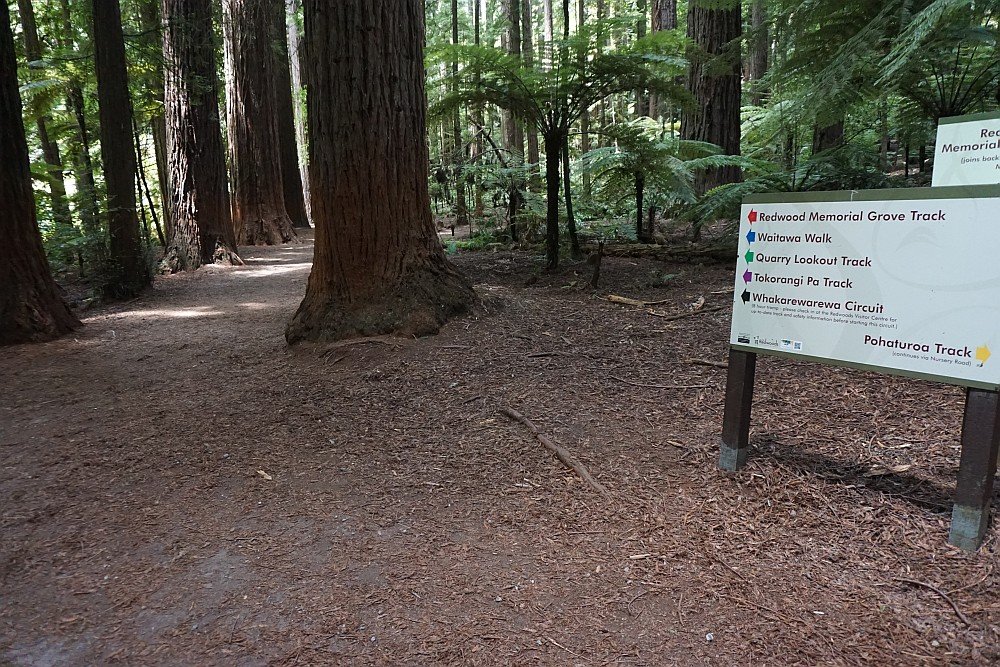 Redwood Quarry Loop Track