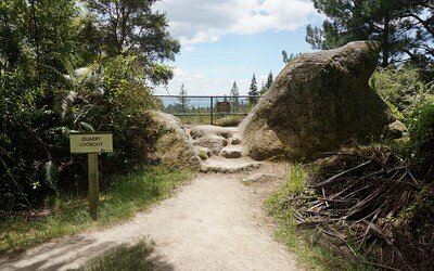 Redwood Quarry Loop Track