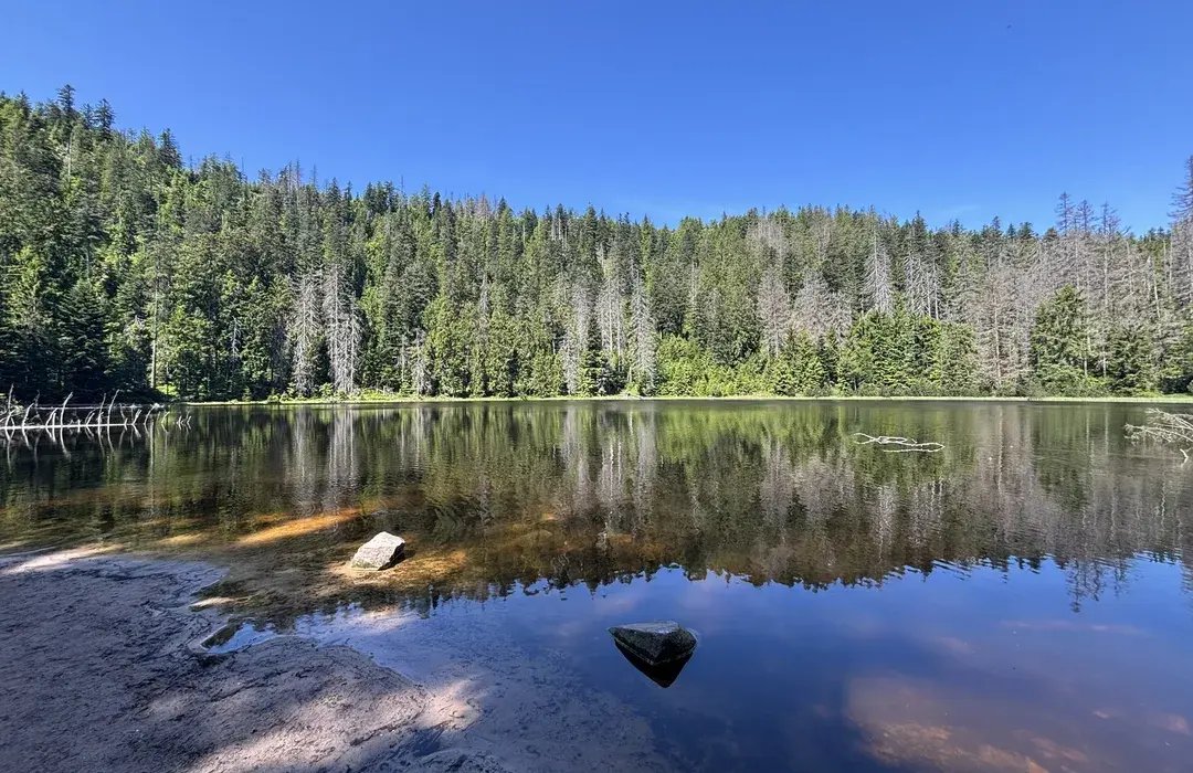Ruhestein–Lake Wildsee Trail 