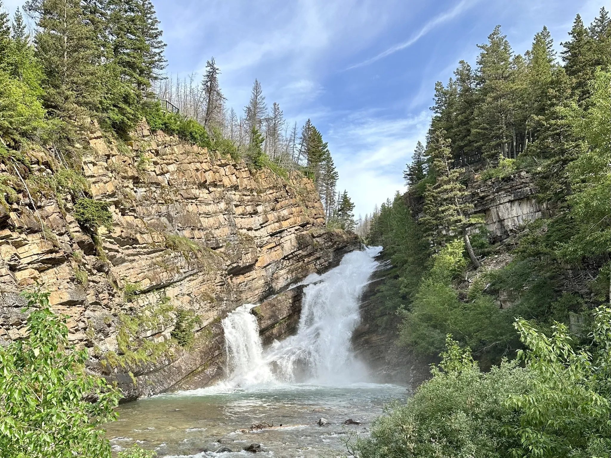 Carthew-Alderson Trail
