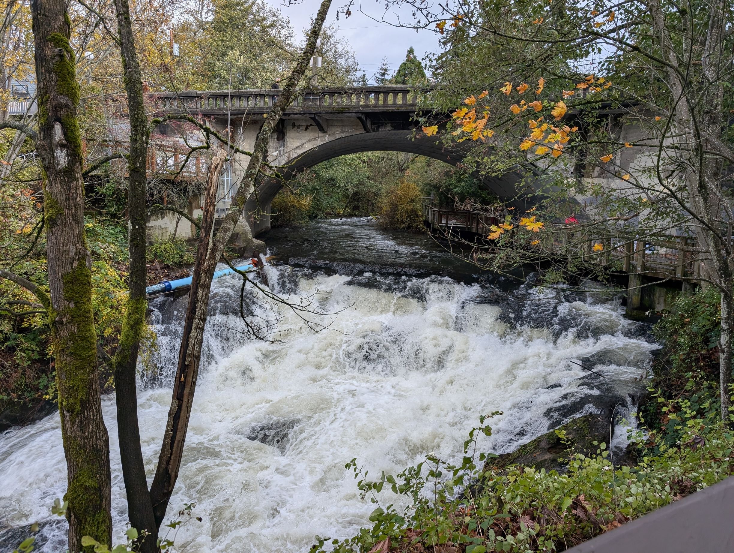 Whatcom Creek Trail Loop