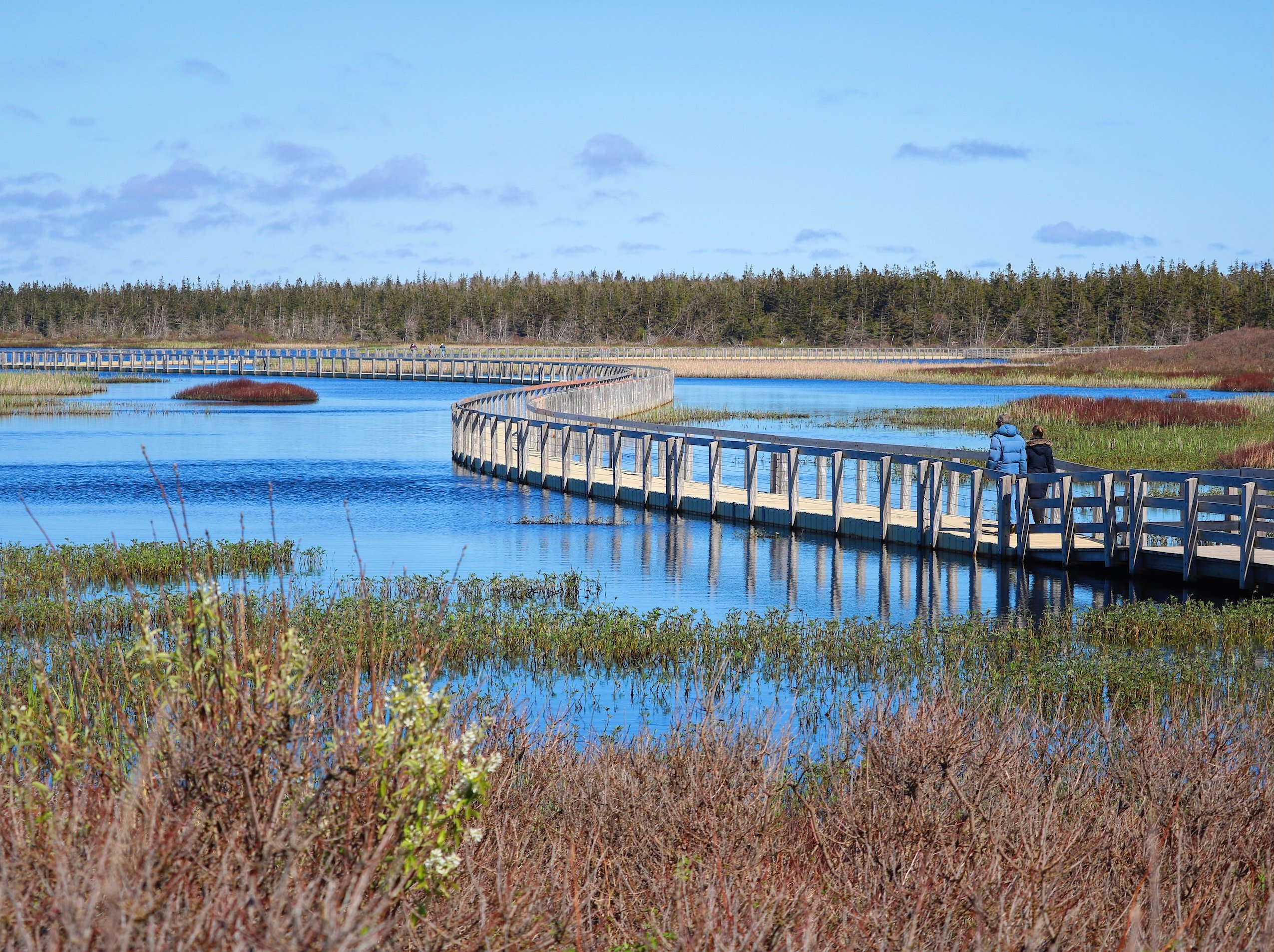 Greenwich Dunes Trail