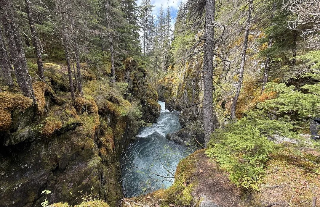 Winner Creek Trail