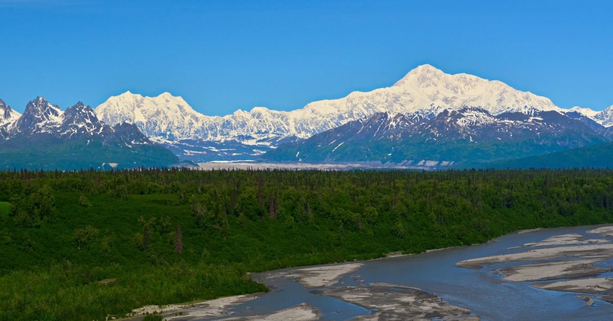 Denali Viewpoint South