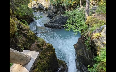 Winner Creek Trail