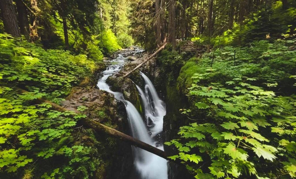 Sol Duc Falls Trail