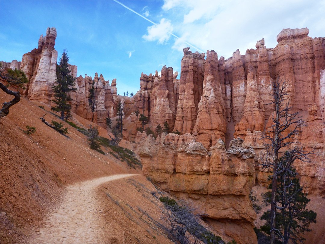 Queen’s Garden Trail