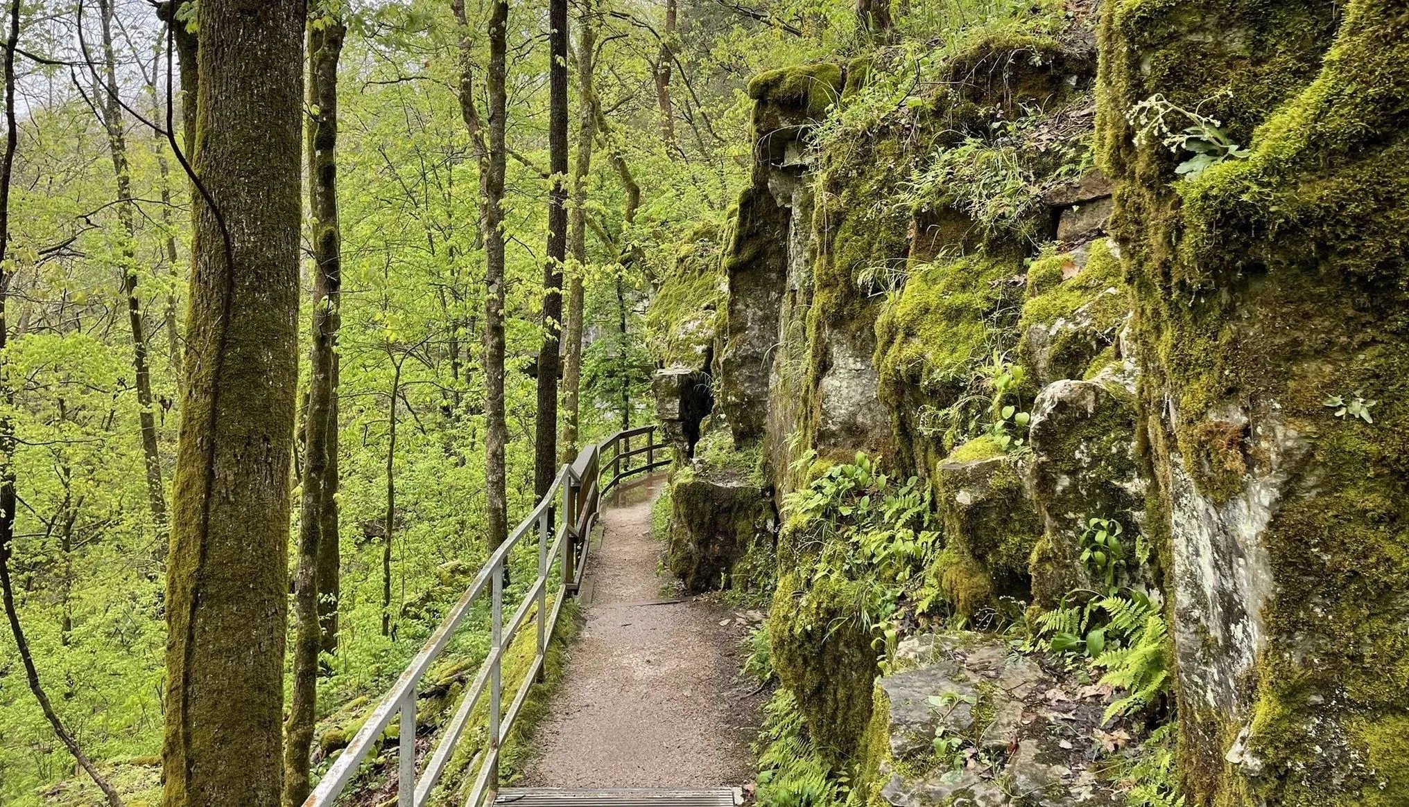 Cedar Sink Trail